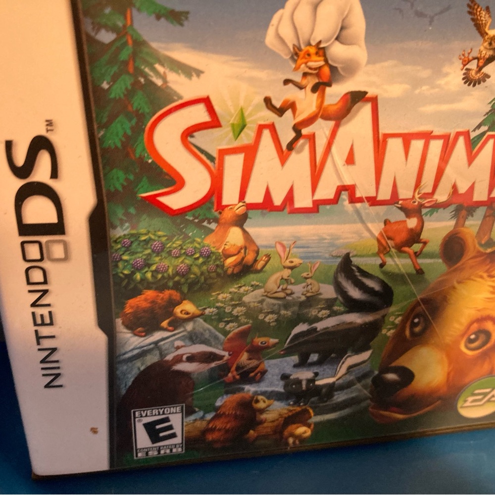 DS bundle - Picture 3 of 5